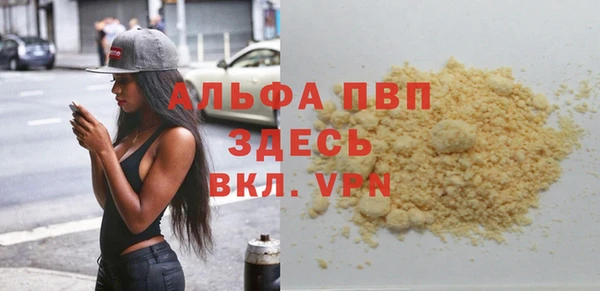 ГАЛЛЮЦИНОГЕННЫЕ ГРИБЫ Осинники