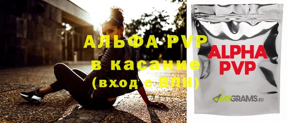 ГАЛЛЮЦИНОГЕННЫЕ ГРИБЫ Осинники