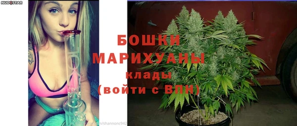 МДПВ Нязепетровск