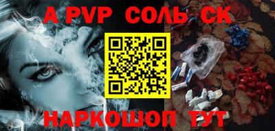 индика Абакан