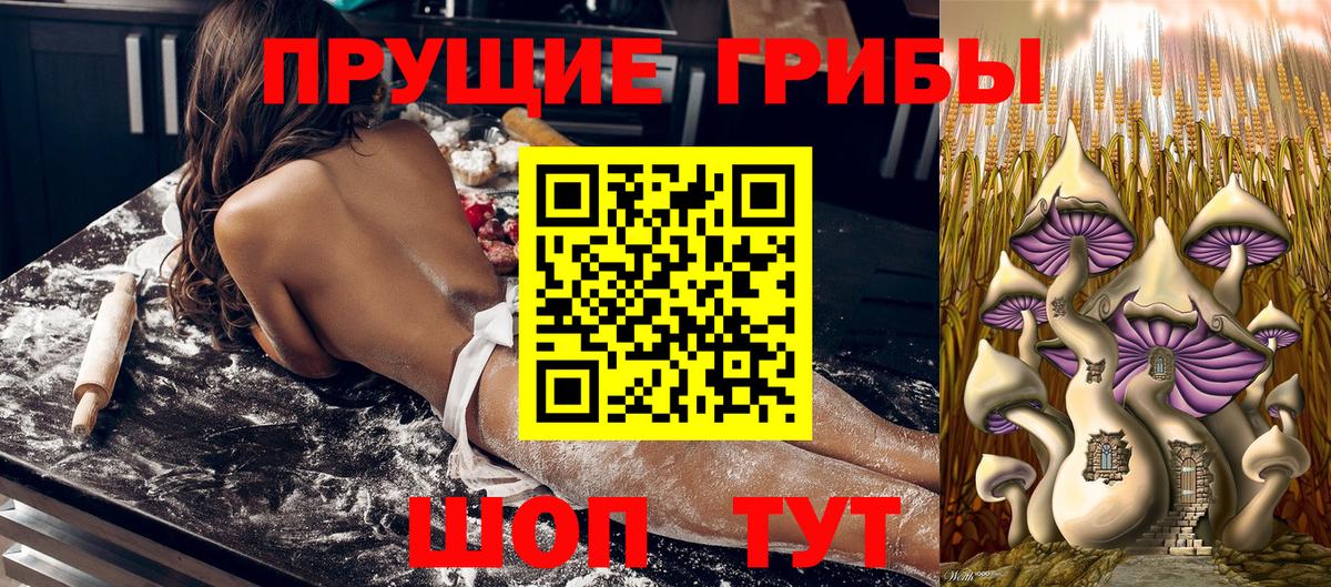 Псилоцибиновые грибы мицелий Алексин