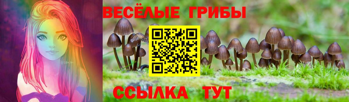 Псилоцибиновые грибы мицелий Алексин