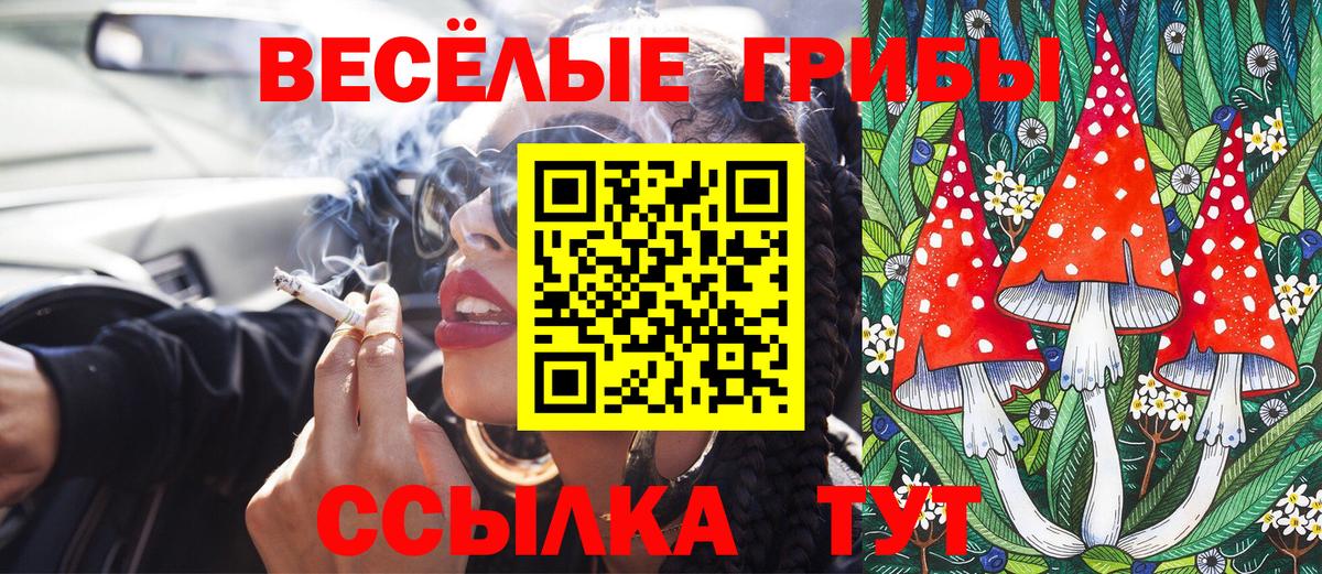 хочу наркоту  Псилоцибиновые грибы мухоморы  Вход с VPN  Алексин  Галлюциногенные грибы GOLDEN TEACHER 